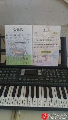 迷音鸟多功能电子琴，入门幼师玩具61钢琴键