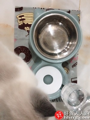 狗盆狗碗猫碗双碗，狗狗猫咪自动饮水食盆插图3