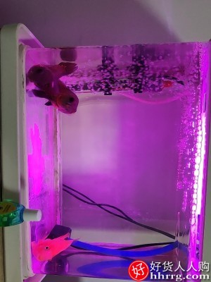 鱼缸潜水灯，遥控变色水族箱专用龙鱼灯插图2