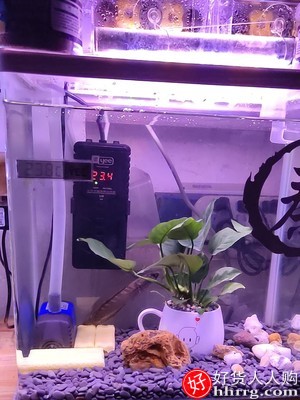 鱼缸温度计电子数显，鱼缸高精度防水草缸测水温插图3