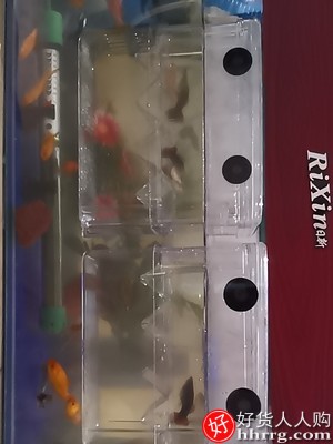 孔雀鱼繁殖盒鱼缸，非亚克力隔离盒特大号产卵孵化产房插图1