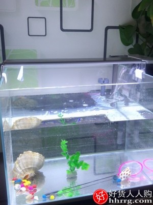超白玻璃鱼缸，桌面客厅生态小型斗鱼金鱼乌龟缸插图3