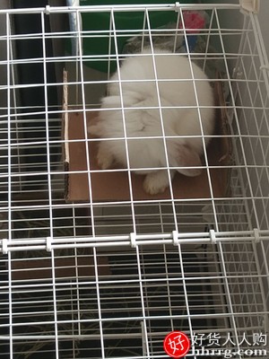 兔笼子家用室内兔子窝，带厕所自动清粪屋插图1