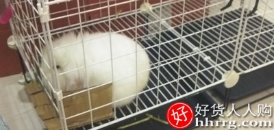 兔笼子家用室内兔子窝，带厕所自动清粪屋插图3