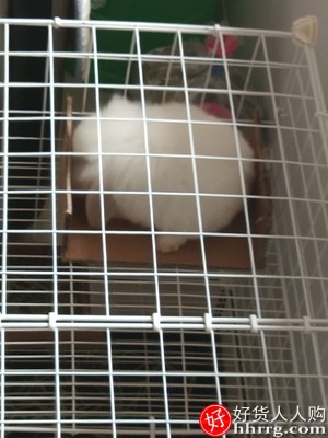 兔笼子家用室内兔子窝，带厕所自动清粪屋插图4