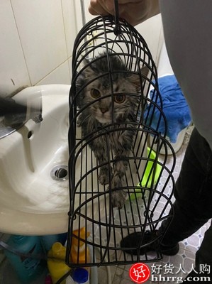 洗猫笼猫吹风笼子，猫洗澡笼防抓咬吹干插图