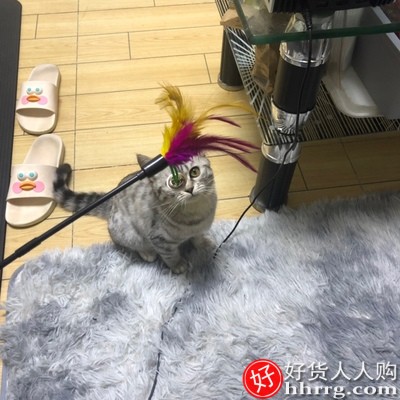 猫玩具套装自嗨激光笔，逗猫棒羽毛铃铛不倒翁插图