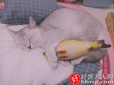 猫玩具套装自嗨激光笔，逗猫棒羽毛铃铛不倒翁插图4