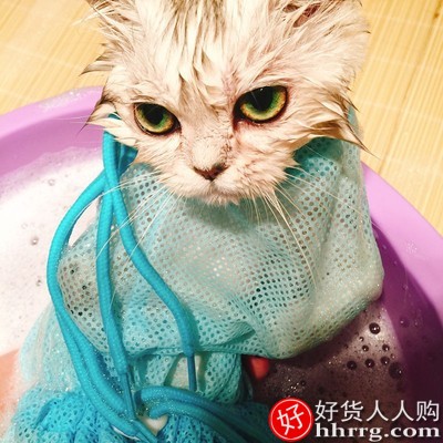 洗猫袋猫咪洗澡，宠物剪指甲打针防抓咬固定猫包袋插图