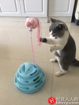 猫玩具自嗨逗猫棒猫转盘球，猫咪玩具套装插图4
