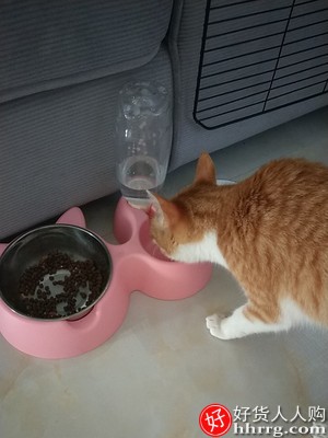 猫碗双碗，自动饮水猫盆食盆狗狗碗狗盆插图2