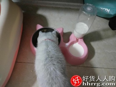 猫碗双碗，自动饮水猫盆食盆狗狗碗狗盆插图4