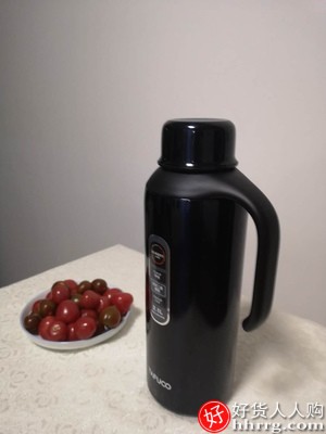 日本泰福高热水瓶304不锈钢保温壶，家用大容量热水壶插图1