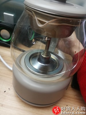 小熊煮茶器，保温煮茶壶迷你玻璃电热水壶插图2