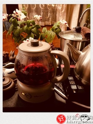 小熊煮茶器，保温煮茶壶迷你玻璃电热水壶插图4