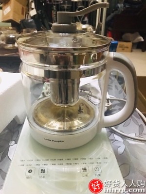小南瓜养生壶，全自动玻璃家用多功能养身煮茶器插图3