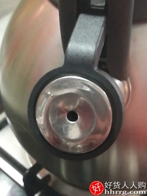 苏泊尔304不锈钢开水壶，自动鸣音烧水壶插图3