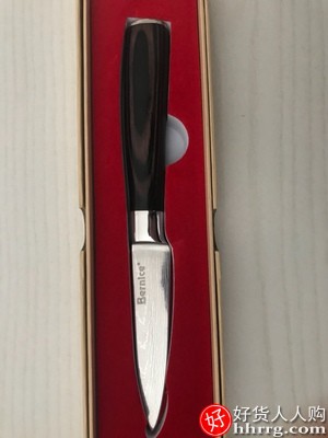 德国钢水果刀，家用不锈钢厨房刀具套装插图1