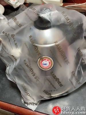 金灶烧水壶电茶壶，304不锈钢自动断电电热水壶插图4