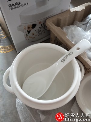 陶瓷隔水炖盅带盖双盖双耳炖燕窝盅，家用小汤盅炖盅碗插图2