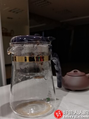 台湾76飘逸杯泡茶壶，家用沏茶过滤冲茶器玻璃茶壶套装插图4