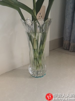 富贵竹百合花玻璃花瓶，欧式透明水晶客厅插花大号摆件