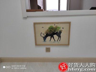 电表箱装饰画，免打孔客厅电源箱开关盒画挂画插图