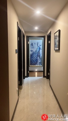 入户玄关装饰画孔雀壁画，过道挂画走廊竖版客厅油画插图3
