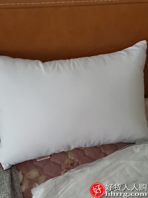 沙发客厅亚麻靠枕，长方形抱枕靠垫套腰枕插图1