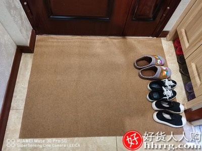 户门防滑地垫，进门吸水脚垫家用厨房客厅卧室地毯插图2