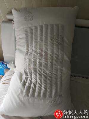 恒源祥决明子枕头，护颈椎枕荞麦皮枕芯枕头