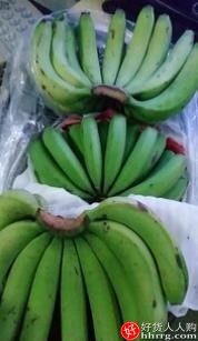 现摘高山甜大香蕉10斤包邮，芭蕉小米蕉苹果蕉插图2