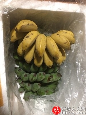 源鲜汇广西小米蕉，10斤香蕉批发芭蕉包邮插图4