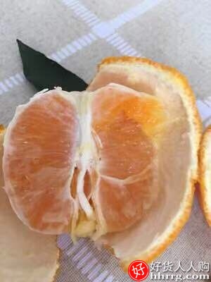 四川丑橘10斤，大果丑八怪橘子丑桔耙耙柑插图3