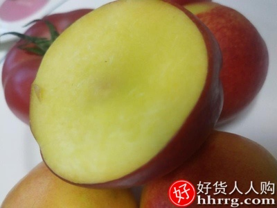 王小二新曙光黄肉油桃，新鲜水果桃子当季蜜桃10斤插图