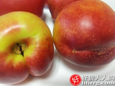 王小二新曙光黄肉油桃，新鲜水果桃子当季蜜桃10斤插图3