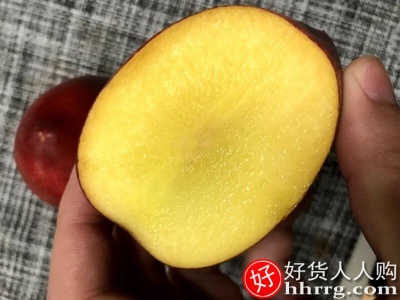 王小二新曙光黄肉油桃，新鲜水果桃子当季蜜桃10斤插图4