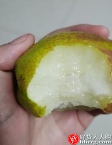 新疆库尔勒香梨10斤，新鲜当季水果酥脆梨整箱插图4