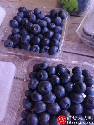 丹东新鲜蓝莓鲜果500g，蓝梅大果非野生进口4盒装插图1