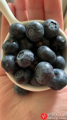 丹东新鲜蓝莓鲜果500g，蓝梅大果非野生进口4盒装插图3