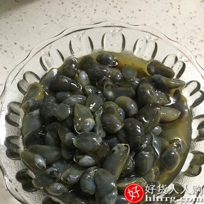 泥螺醉泥螺王500g，黄泥螺即食香辣罐装无沙宁波海鲜特产插图2