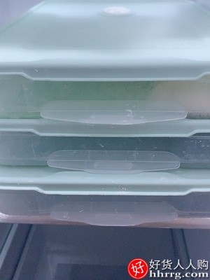 家用速冻水饺盒混沌盒，冰箱鸡蛋保鲜收纳盒插图4