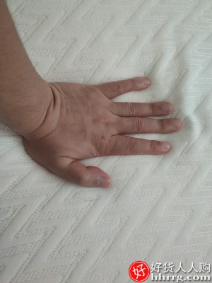 法莱曼泰国天然乳胶床垫，榻榻米橡胶软垫插图3