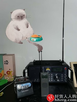 Tecsun/德生收音机，S-2000航空波段无线电收音机