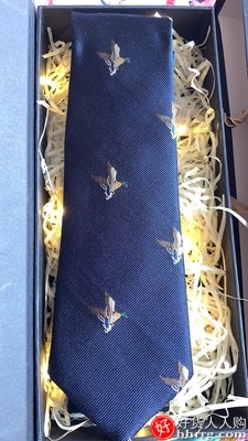 GIEVES CHARLES真丝刺绣男士领带，意大利风格领带插图2