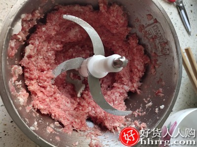苏泊尔绞肉机，家用电动小型多功能打肉料理搅拌机插图2