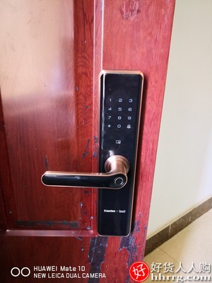 凯迪仕智能锁TK2，家用防盗门电子门锁插图5