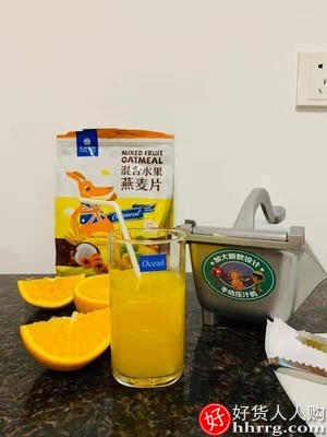 德国手动榨汁机橙汁挤压器，家用水果小型不锈钢榨汁器插图3