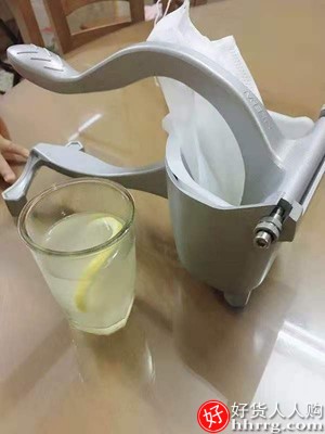 德国手动榨汁机橙汁挤压器，家用水果小型不锈钢榨汁器插图4