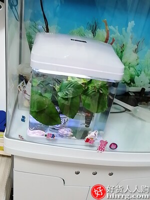 初迪鱼缸水族箱，家用小型免换水玻璃缸生态金鱼缸